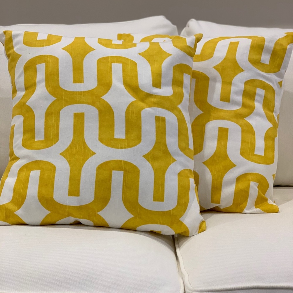 REDUCED! SET OF 2 Taylor Marie Pillow Covers 18x18